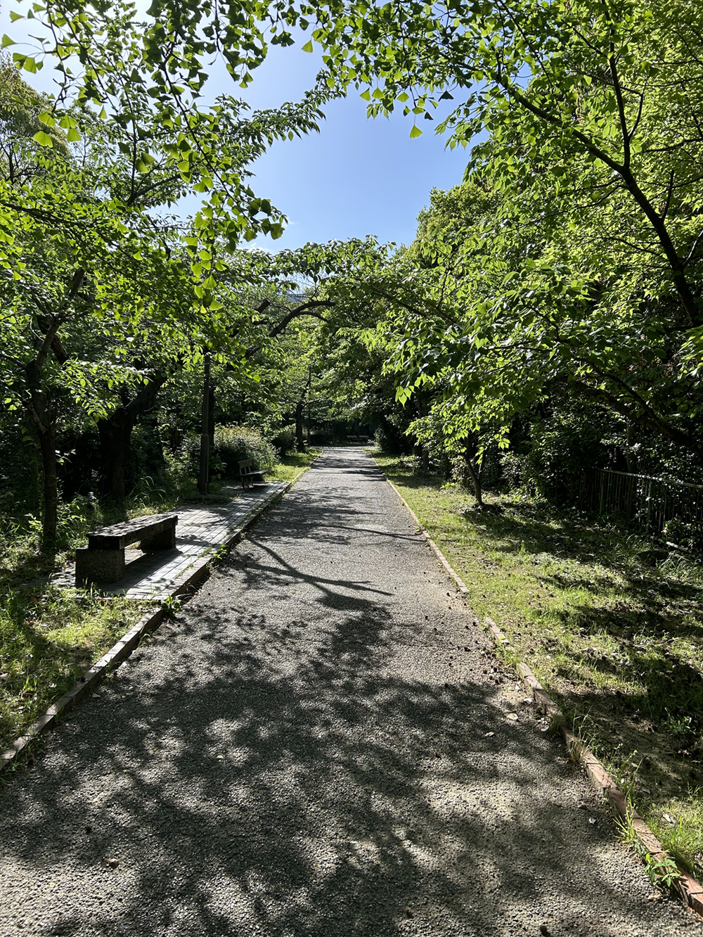 風景＋叙景・雑感