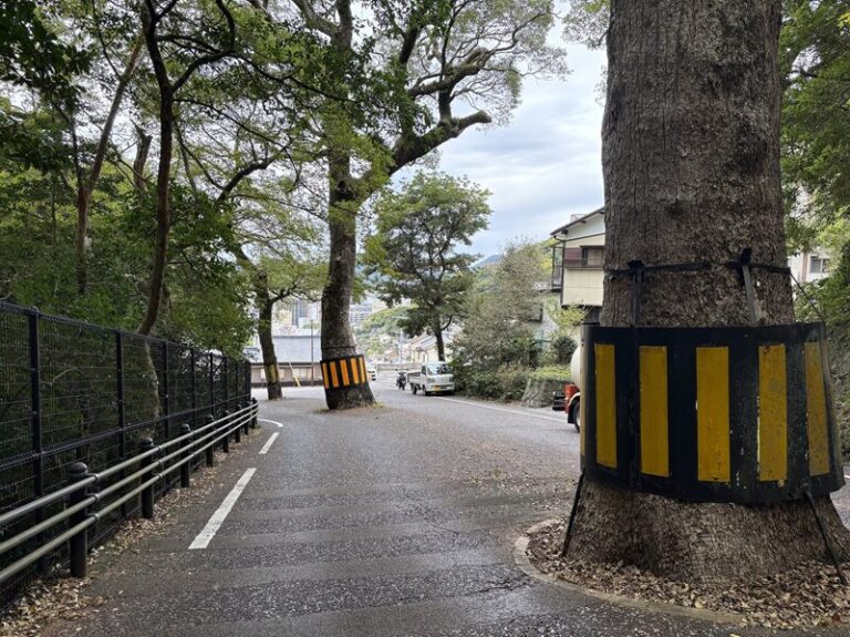 No.2：立山1丁目（2025年11月）